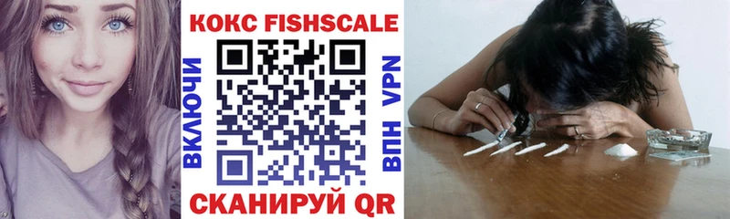 где можно купить наркотик  Снежногорск  COCAIN 98% 
